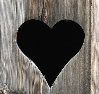 Toilet Talk - Globetrotting horse riding holidays - image by rnoid via Pixabay