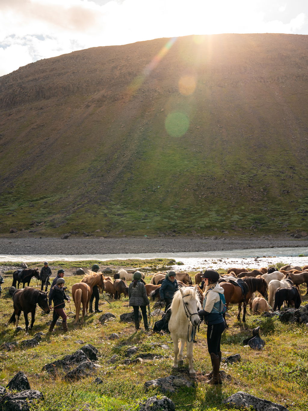 horse riding holiday Iceland