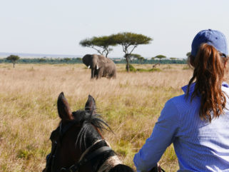 horse riding safari in the Maasai Mara, Kenya