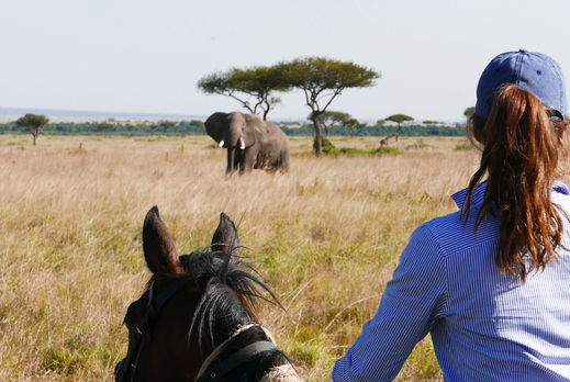 horse riding safari in the Maasai Mara, Kenya