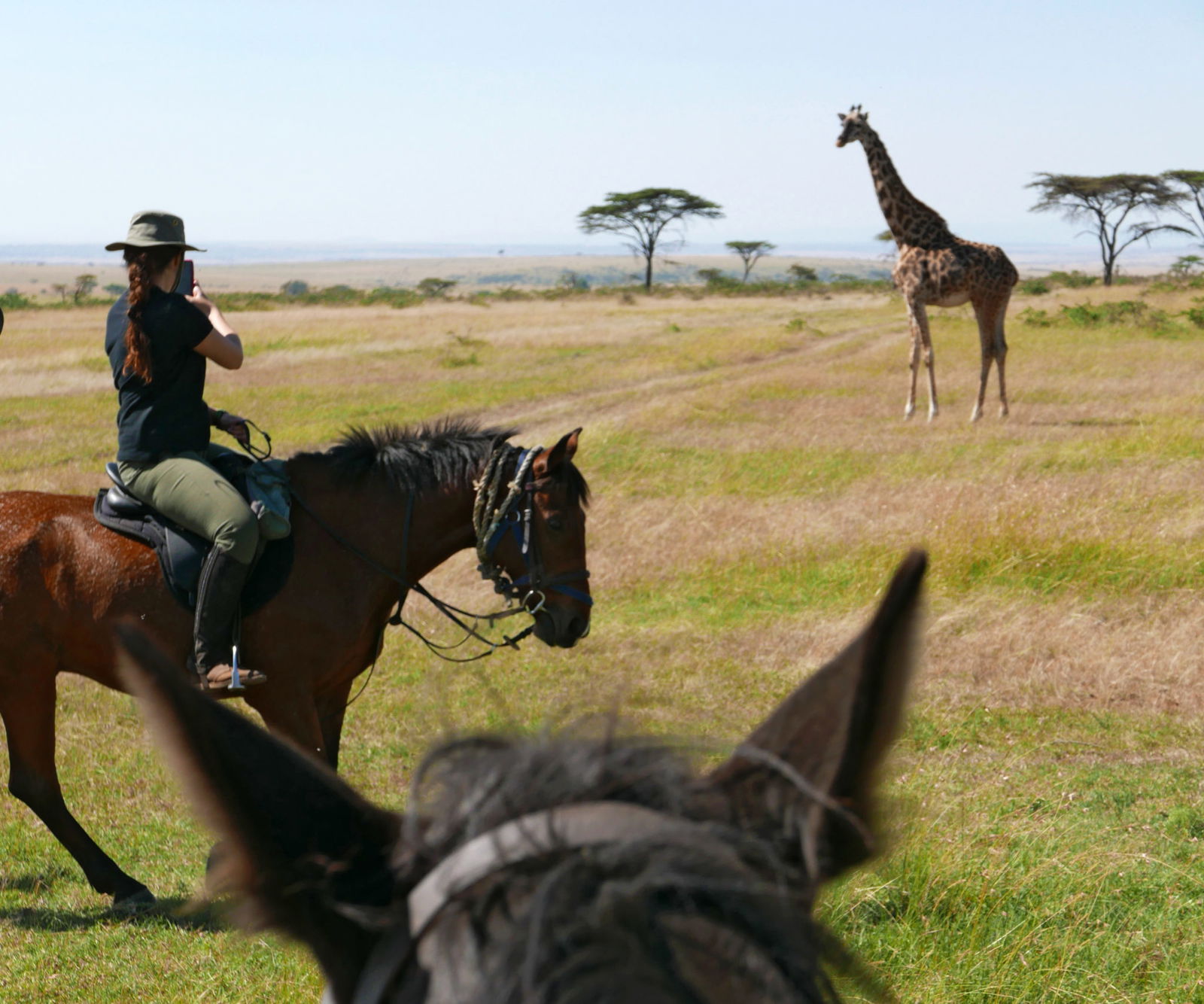 horse riding safari in the Maasai Mara, Kenya