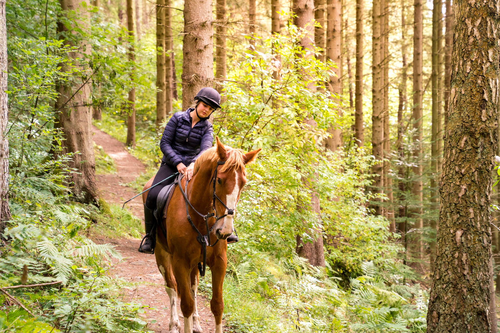 horse riding holiday Scotland