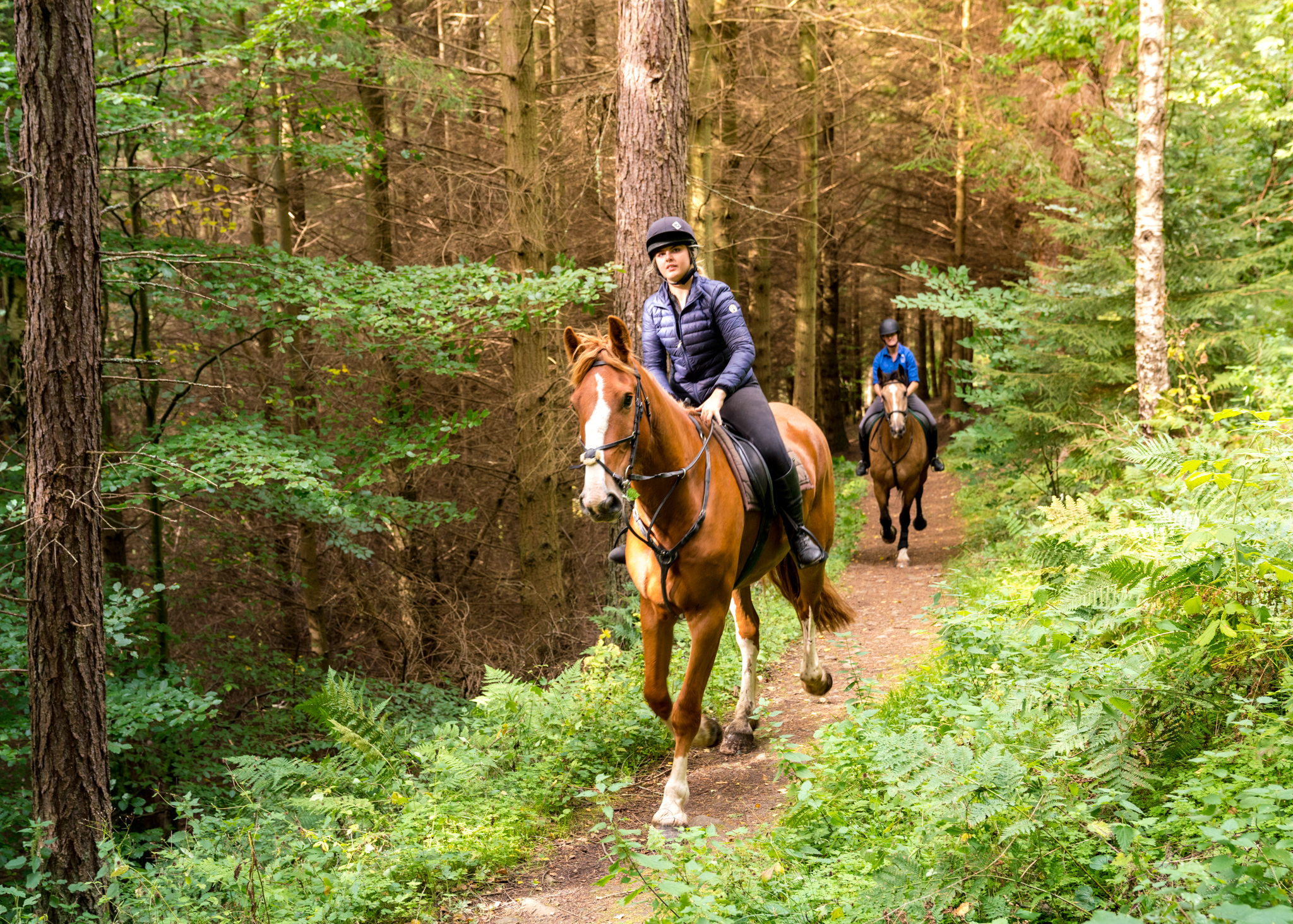 horse riding holiday Scotland