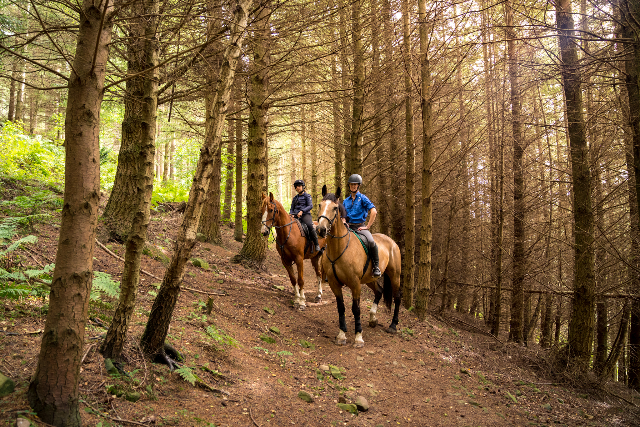 horse riding holiday Scotland