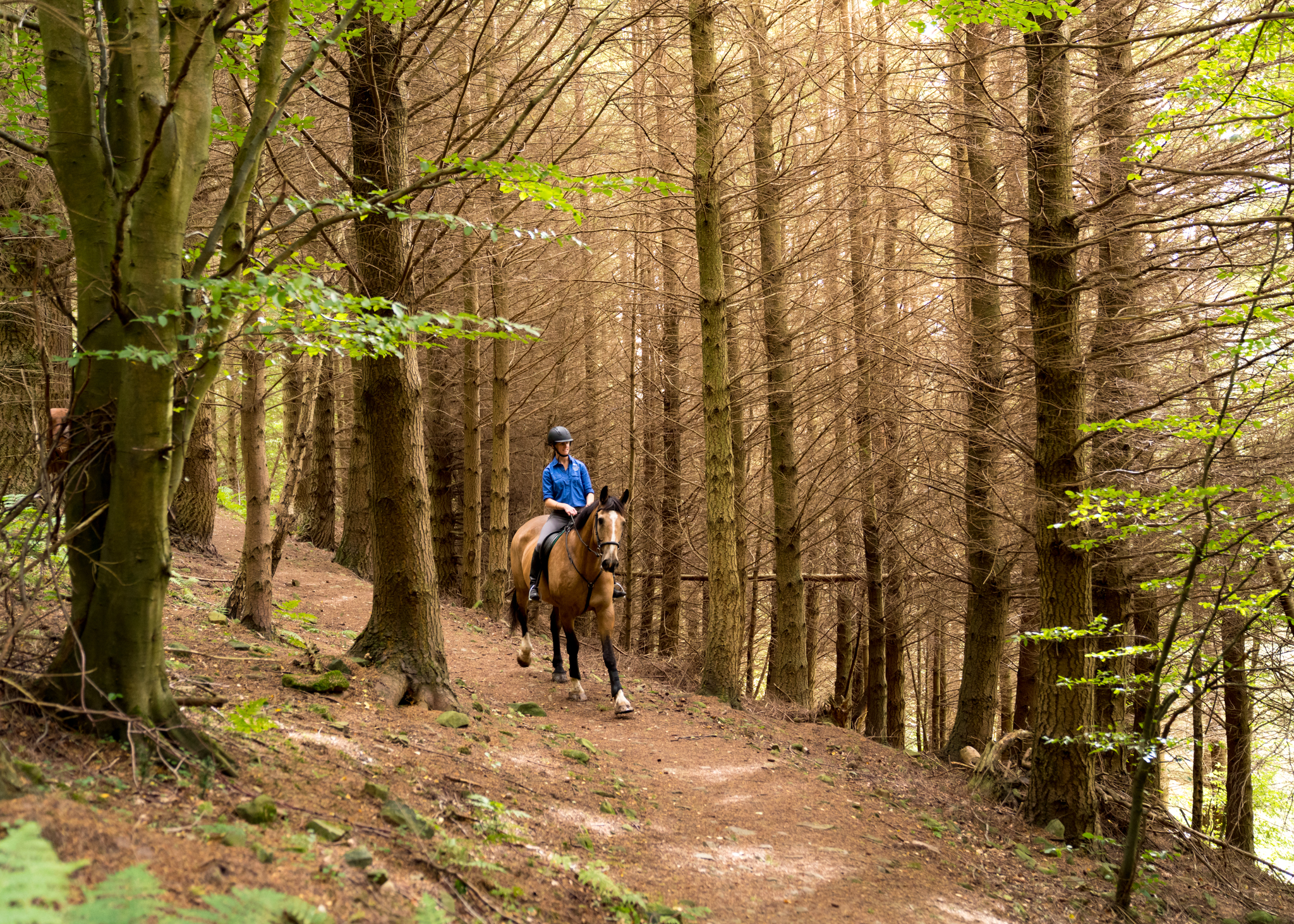 horse riding holiday Scotland