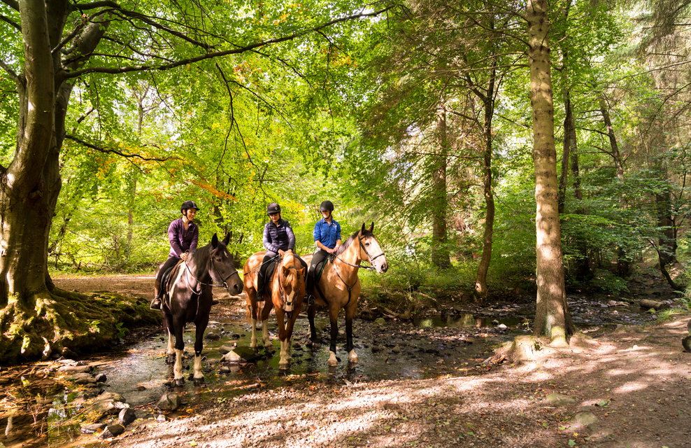 horse riding holiday Scotland