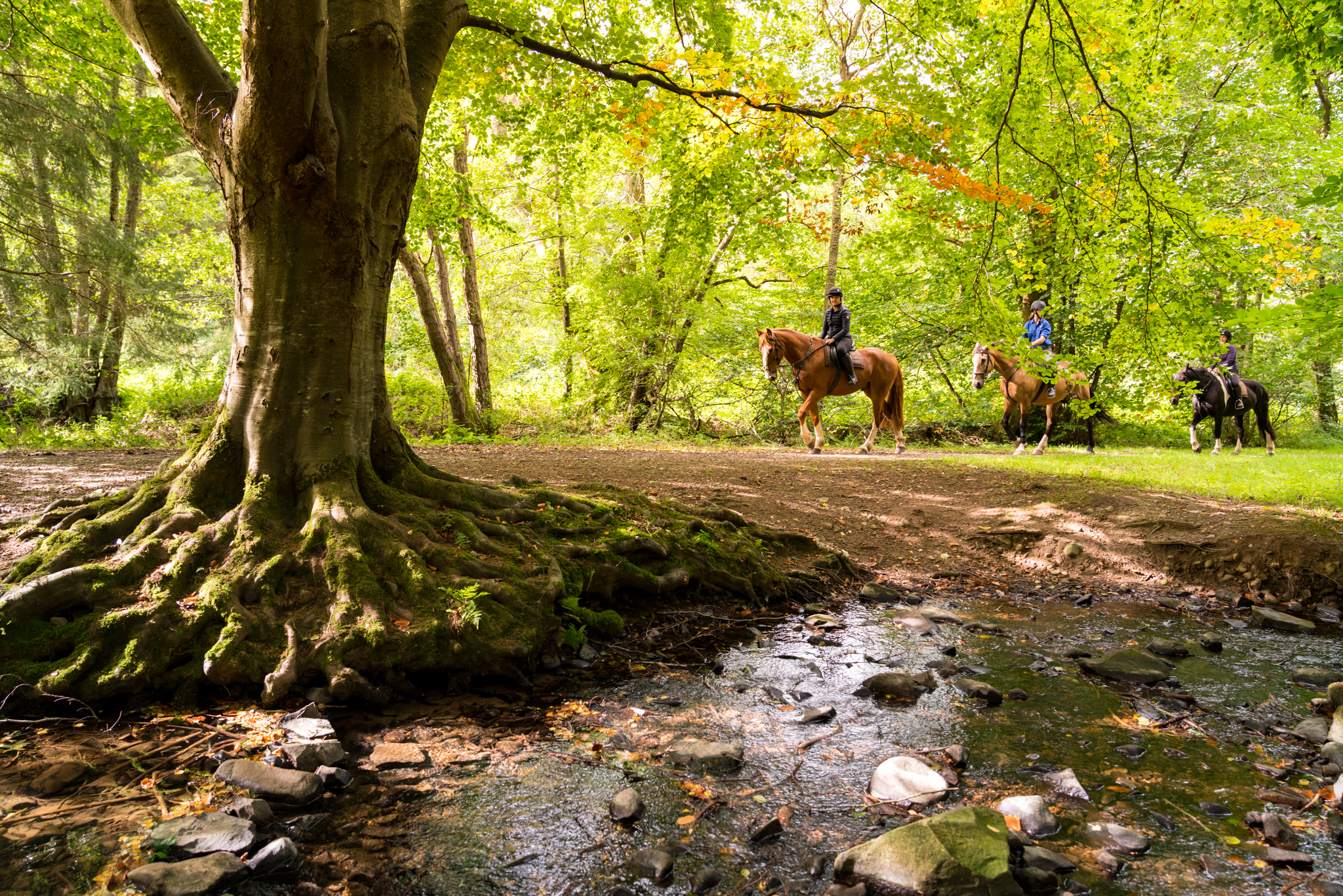 horse riding holiday Scotland