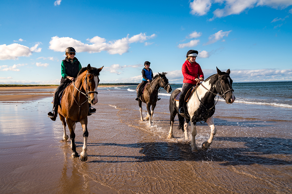 horse riding holiday Scotland