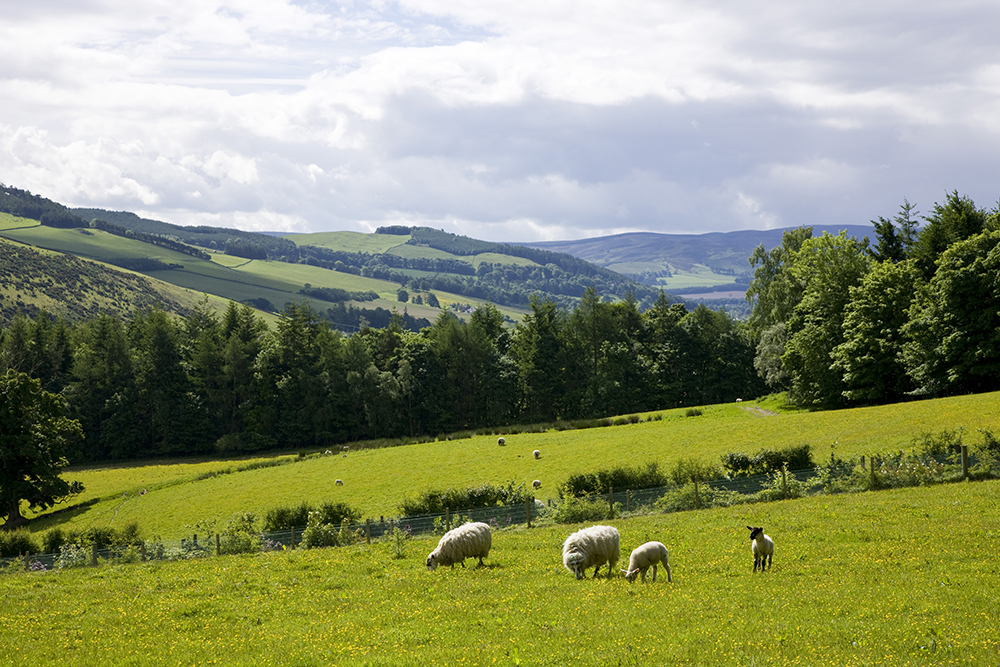 horse riding holiday Scotland