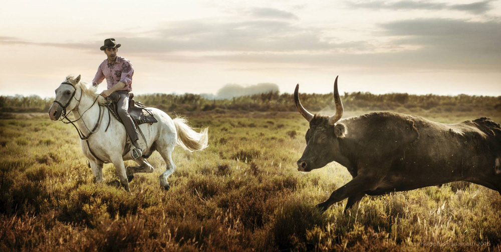 horse riding holiday France