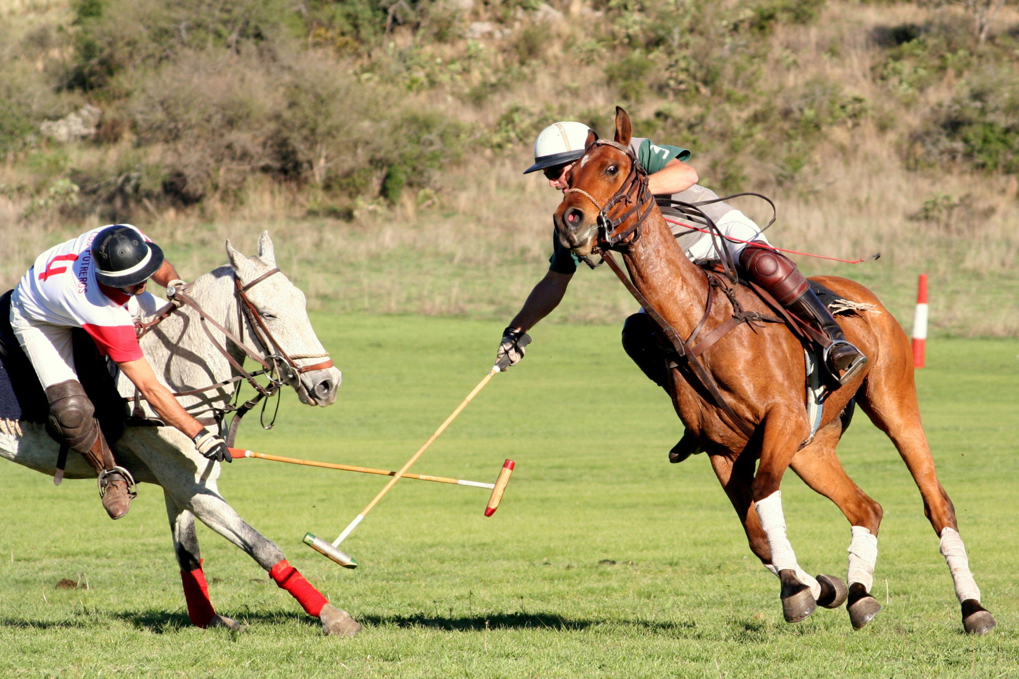 horse riding holiday argentina