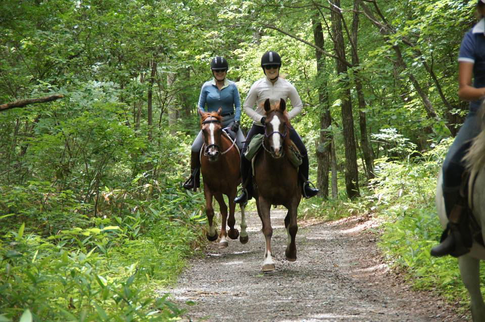 horse riding holiday japan