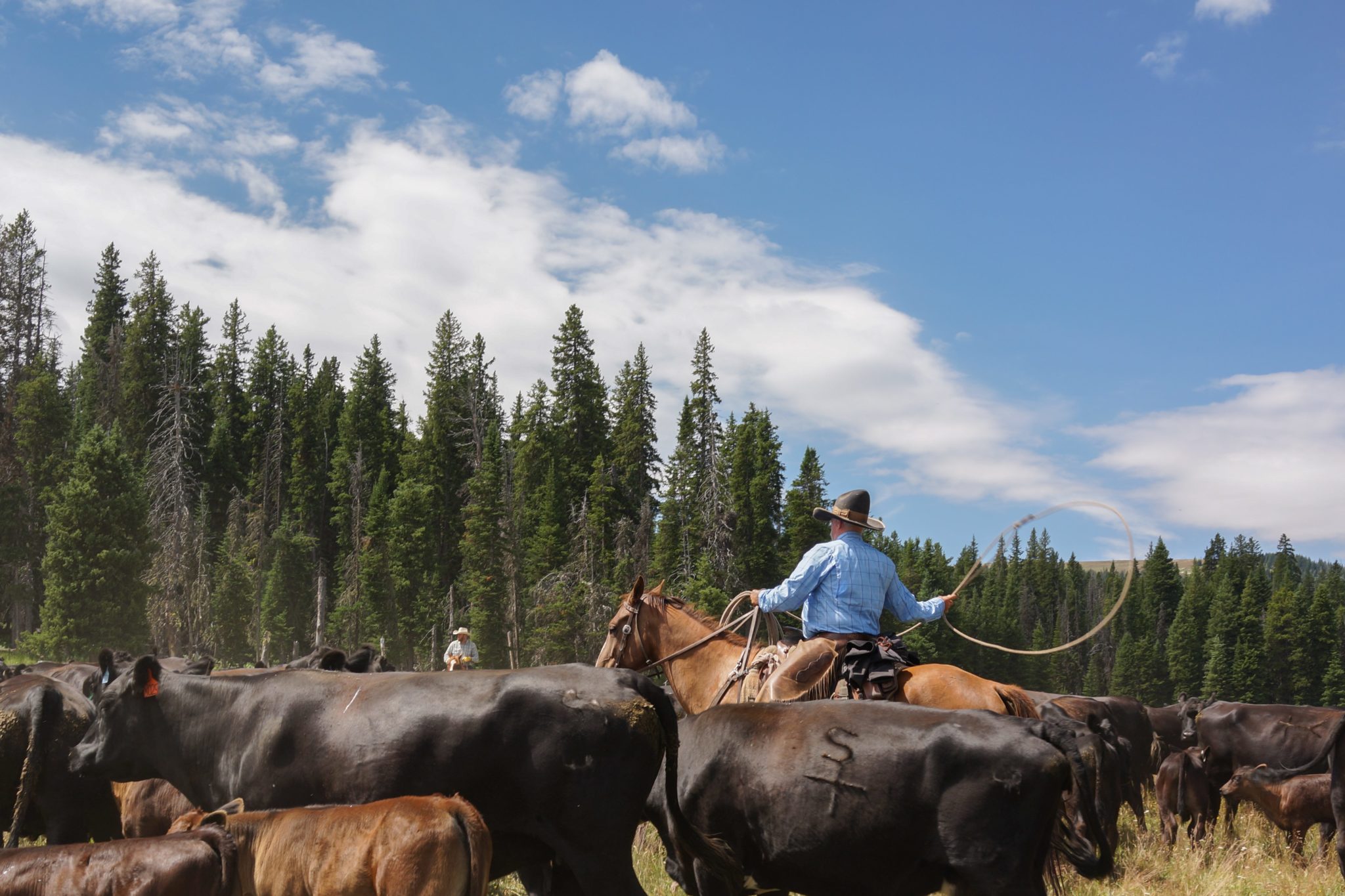 horse riding holiday wyoming