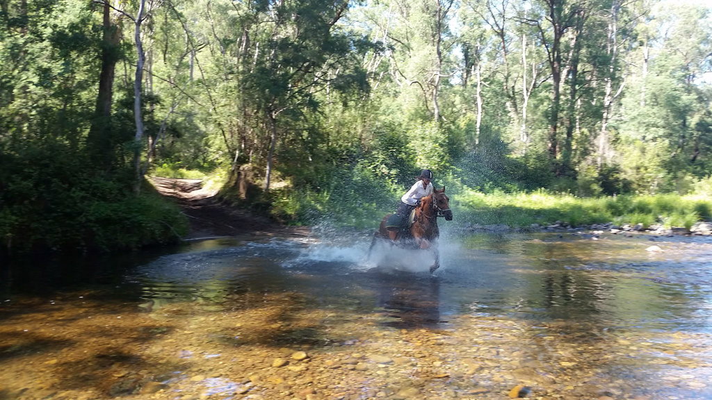 Globetrotting Howqua River Ride