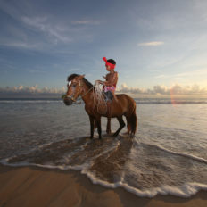 horse riding holiday Sumba