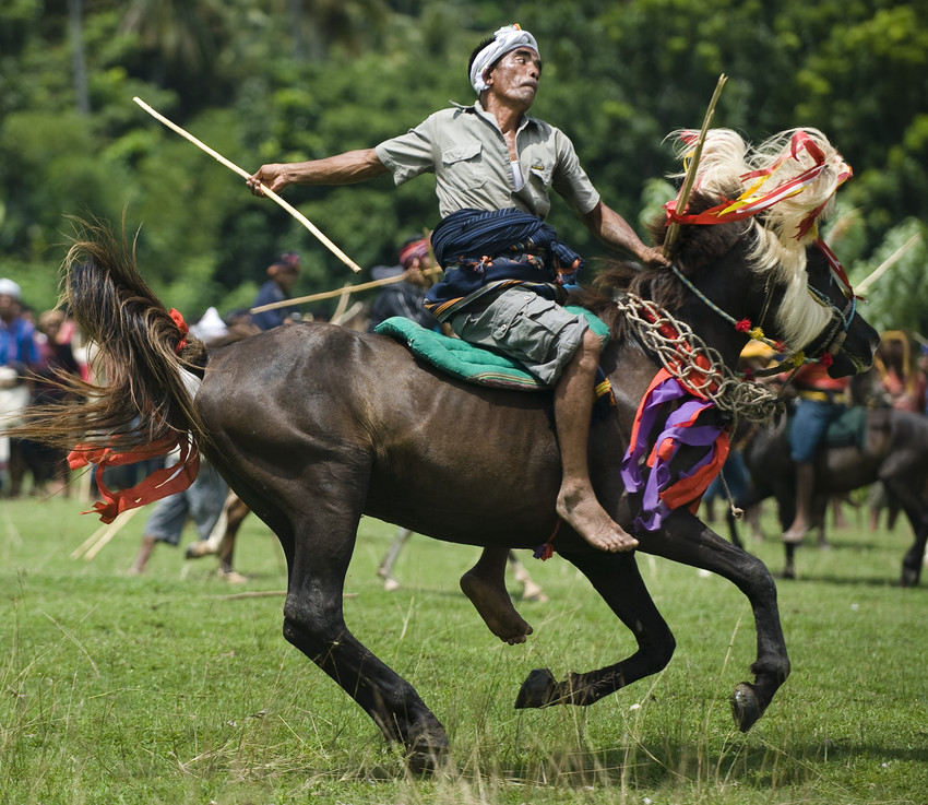 horse riding holiday Sumba