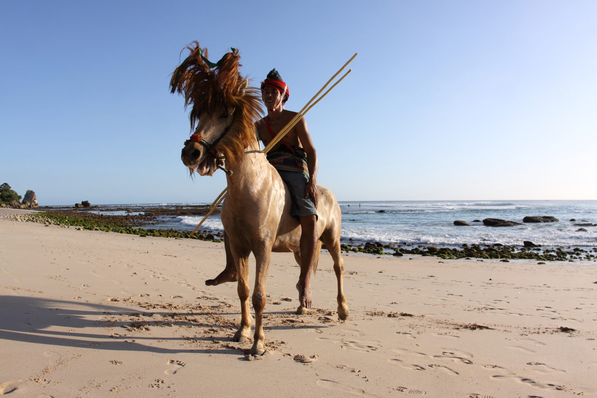 horse riding holiday Sumba