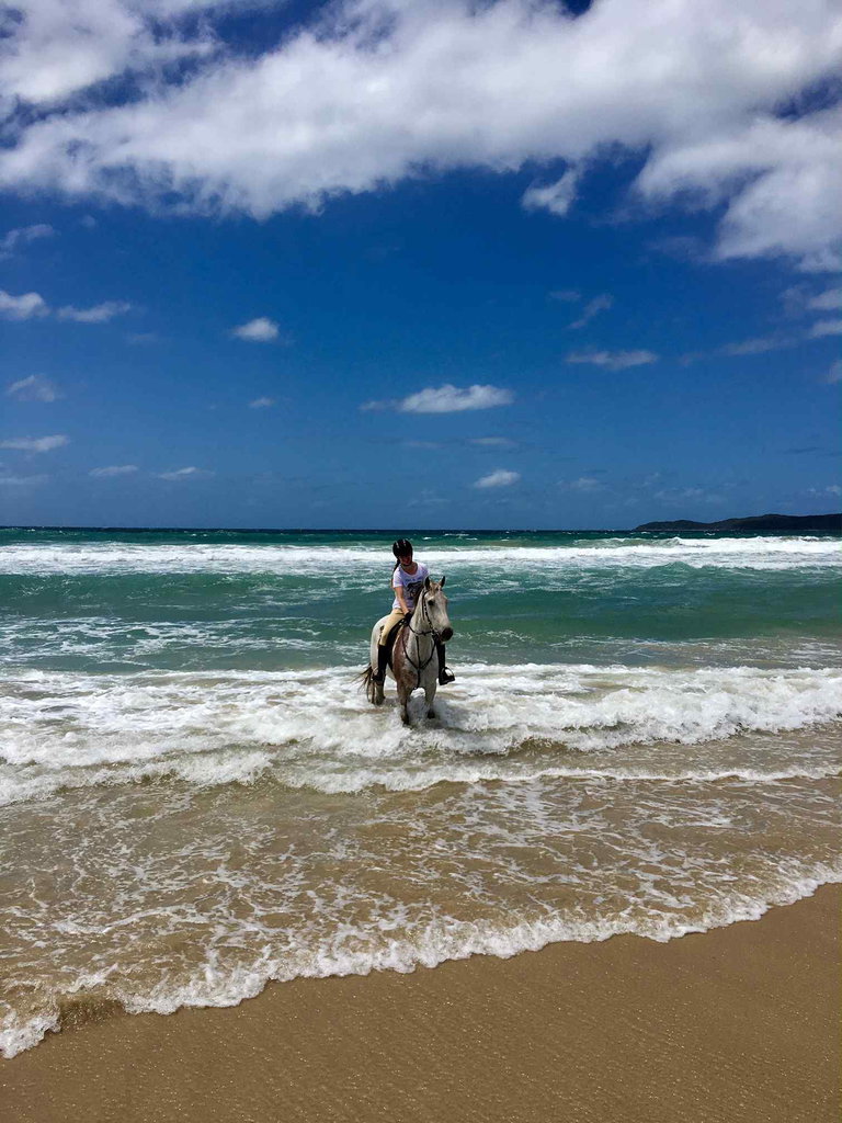 Globetrotting horse riding holiday Bush & Beach Ride, Noosa, Sunshine Coast, Queensland, Australia