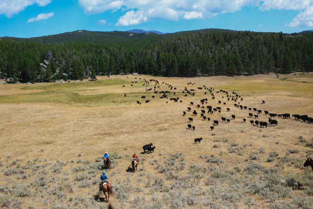 horse riding holiday shell wyoming