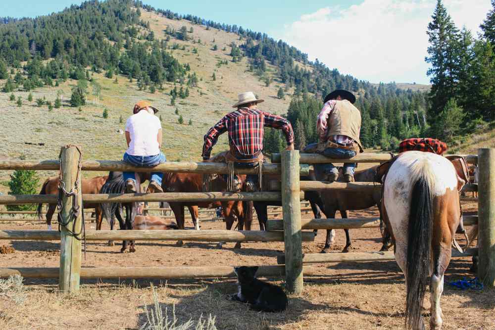 horse riding holiday wyoming