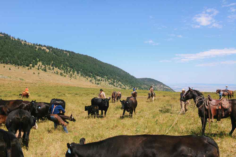 horse riding holiday wyoming