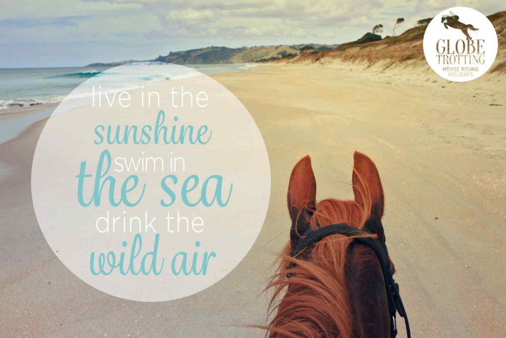 beach-horse-riding-holiday.new-zealand-5