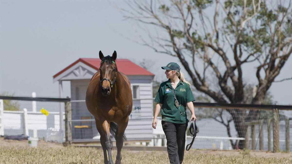 Silent Witness_Visit Melbourne