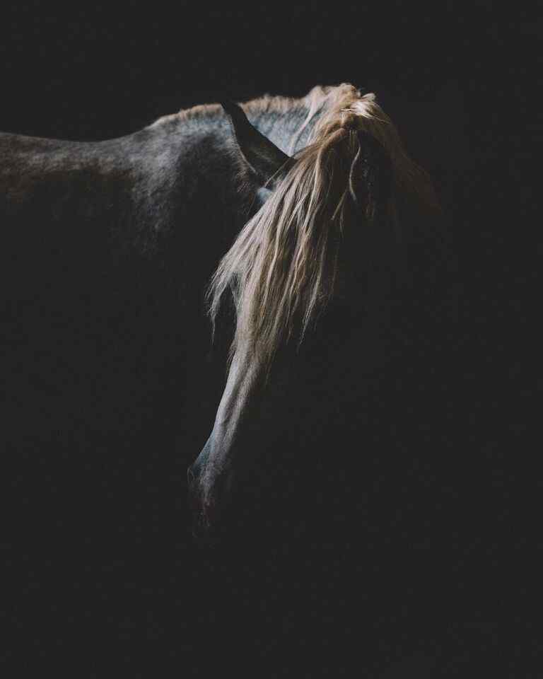 dark image