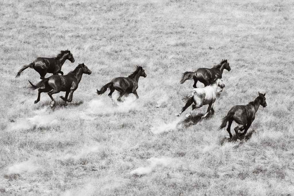 RunningFree