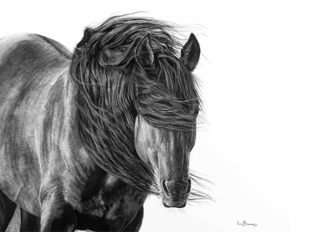 Drawing 4