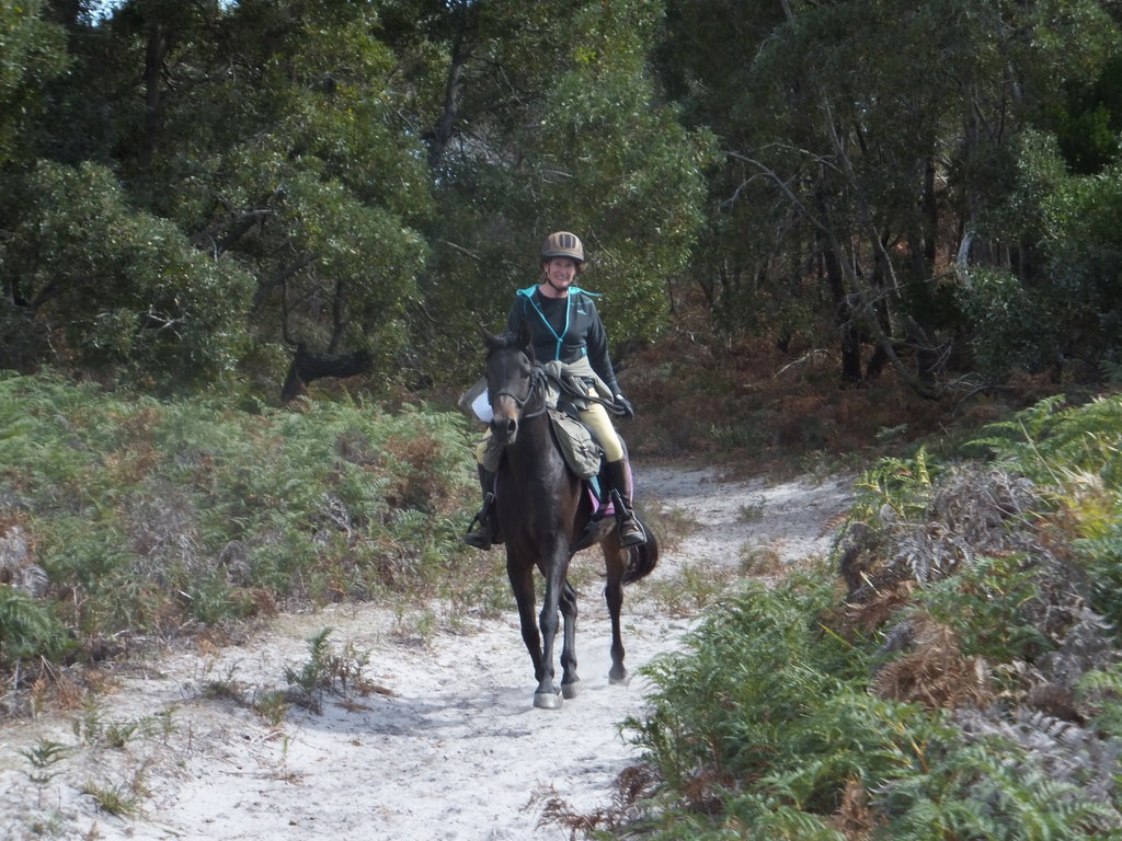 Globetrotting horse riding holiday Tassie Tiger Trail, Australia