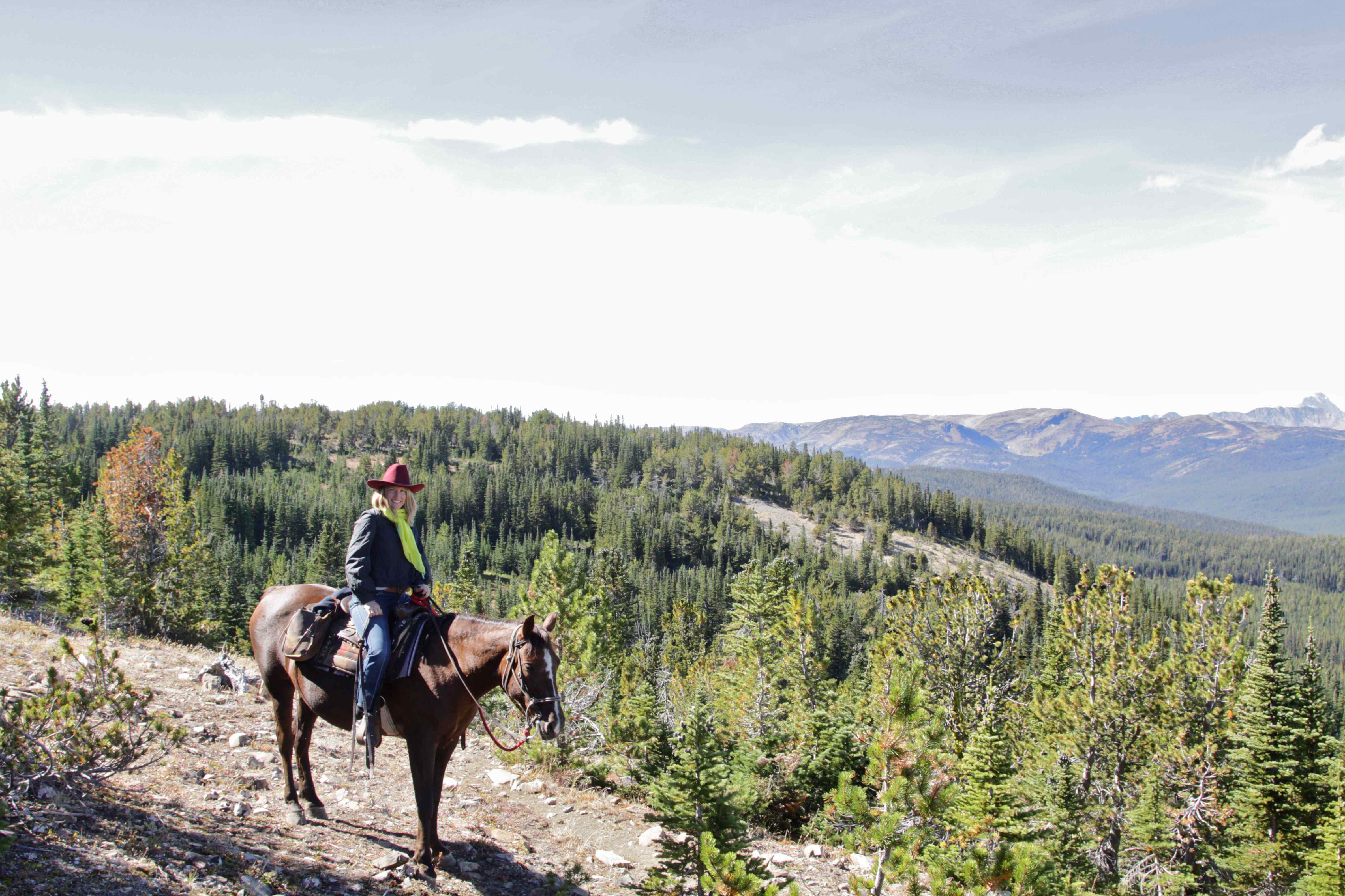 travelling solo on a horse riding holiday
