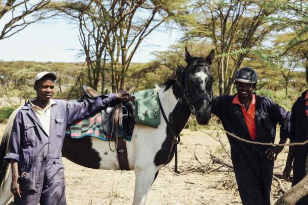 globetrotting guest horse