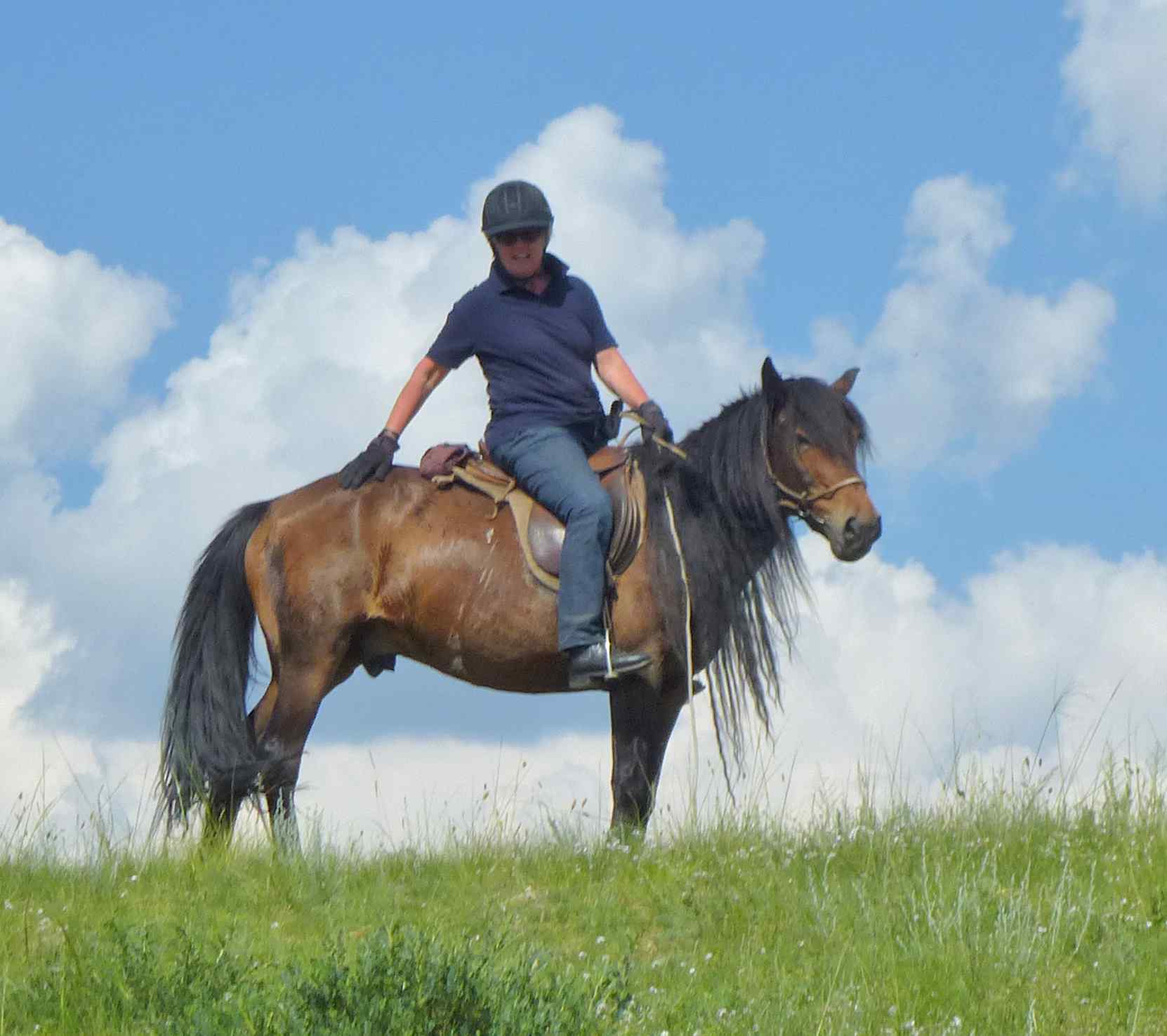 Globetrotting horse riding holiday in Mongolia