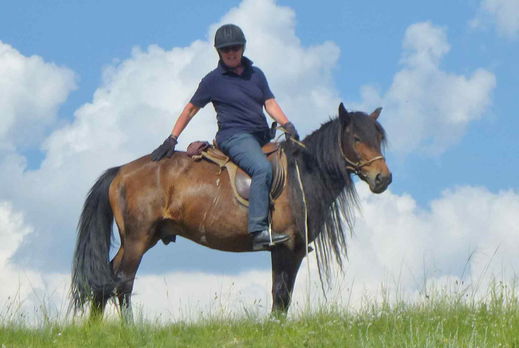 Globetrotting horse riding holiday in Mongolia