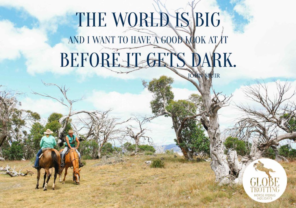 horse riding holiday quote