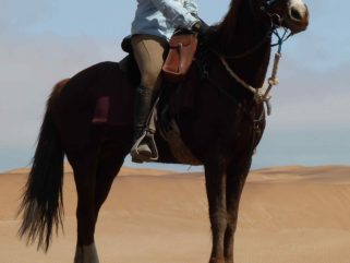 Globetrotting horse riding holiday in Namibia