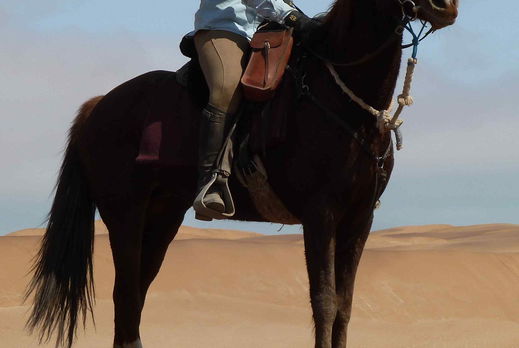 Globetrotting horse riding holiday in Namibia