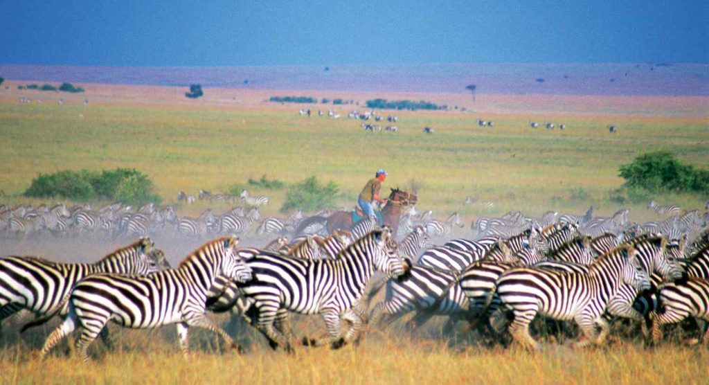 globetrotting.maasai-mara-ride-9