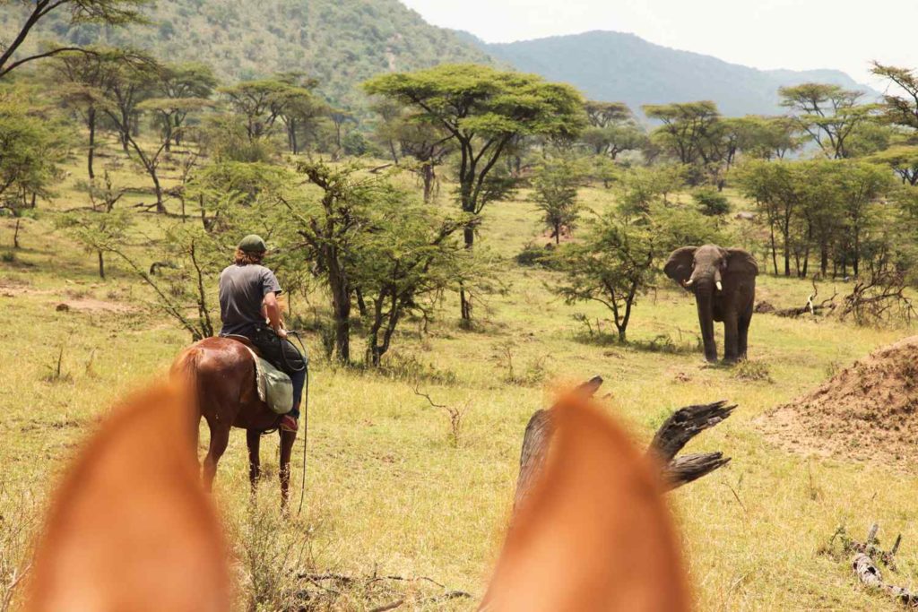 globetrotting.maasai-mara-ride-4