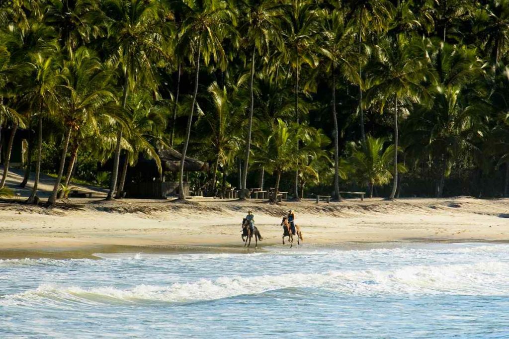 horse riding holiday bahia beach