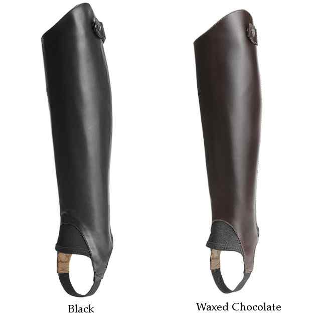 ariat half chaps