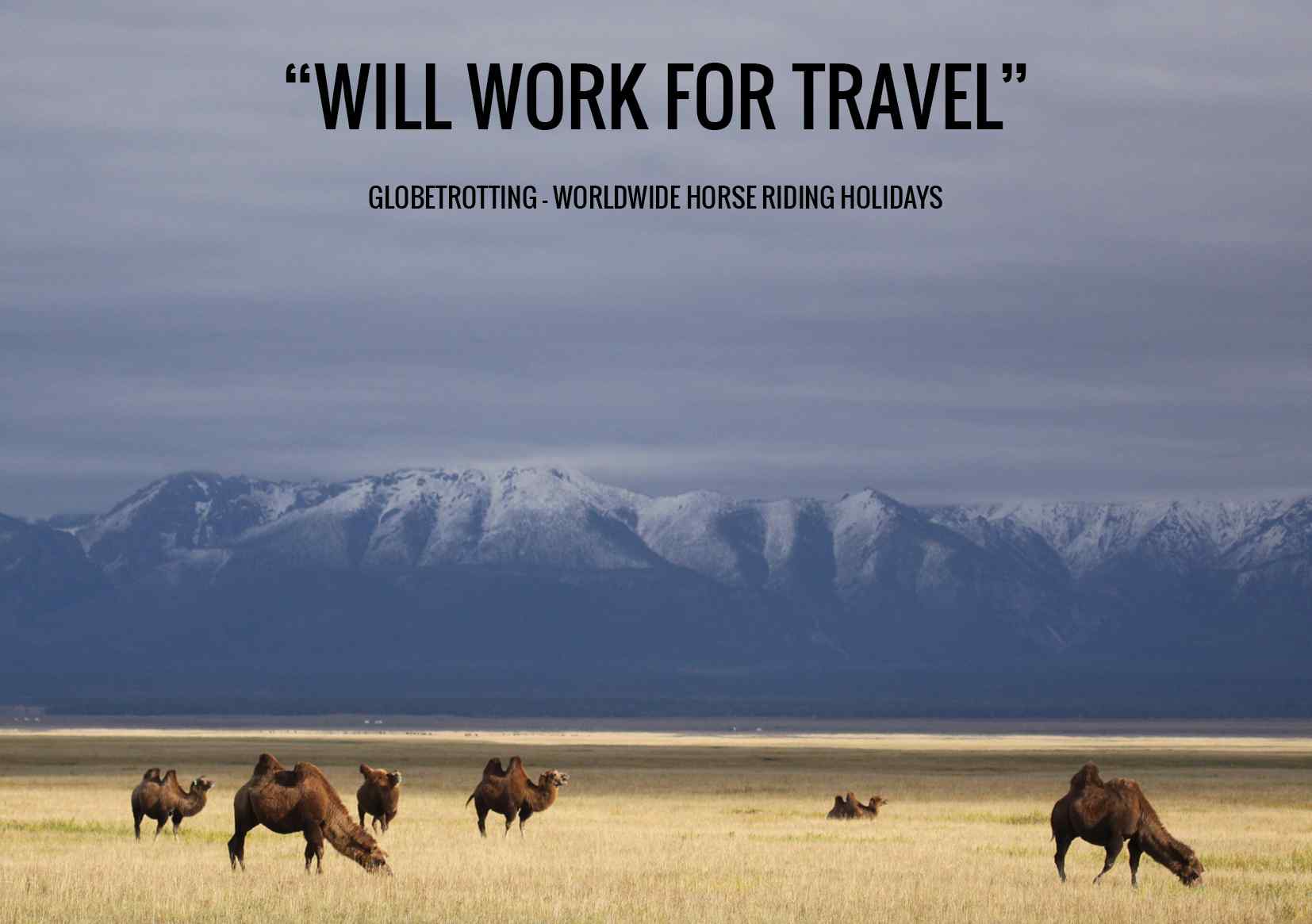 globetrotting horse riding holiday mongolia
