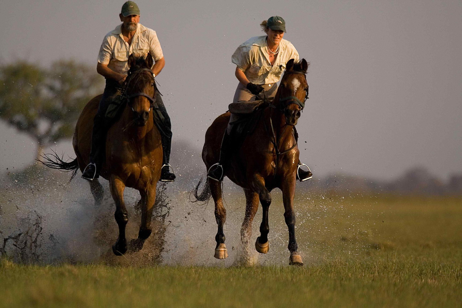 horse riding safari guides