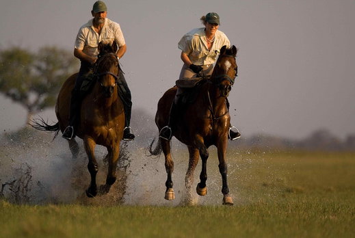 horse riding safari guides