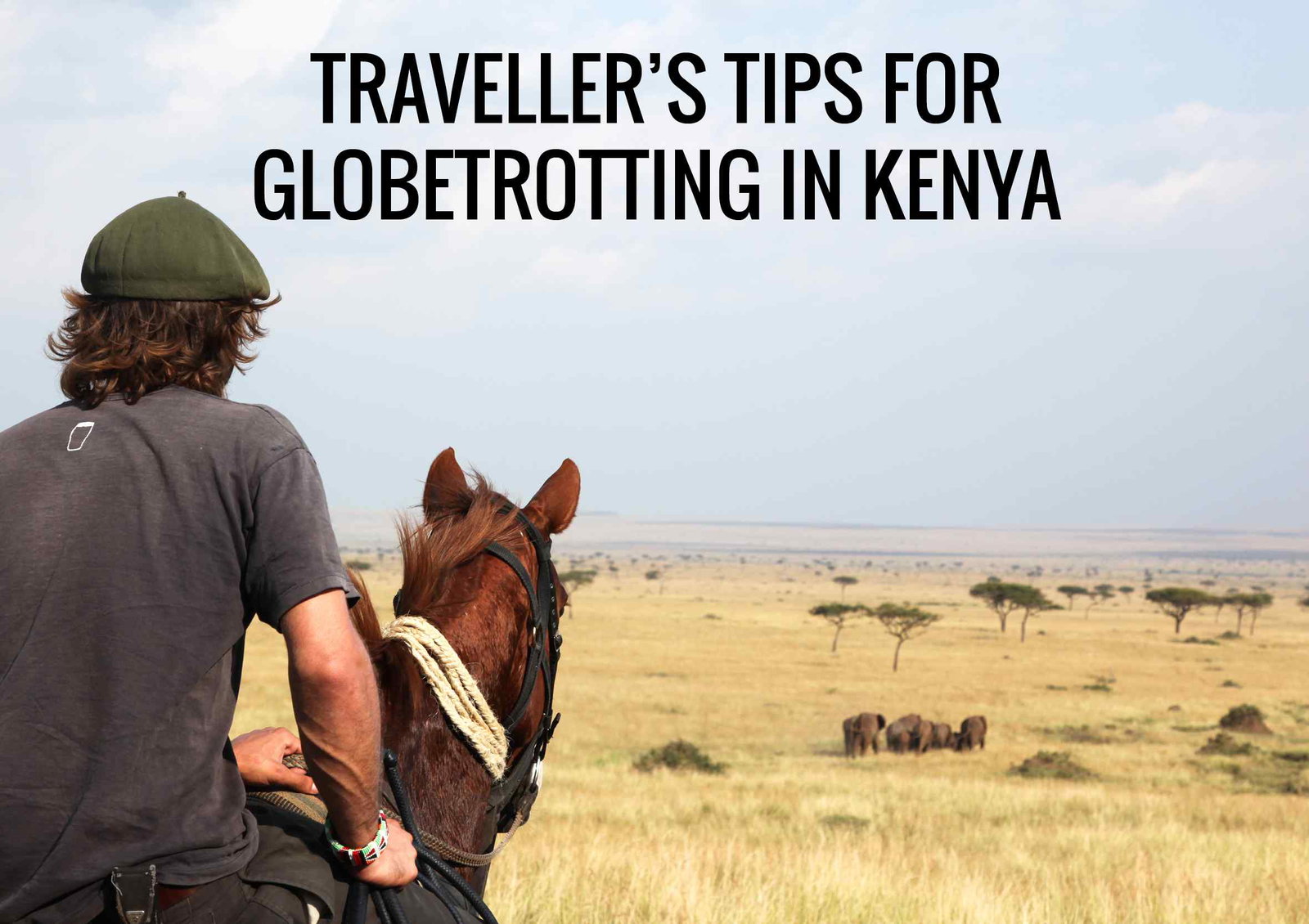 horse riding in kenya