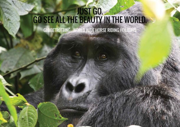 gorilla trekking uganda