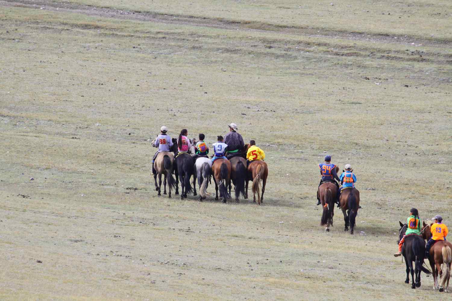 horse riding mongolia
