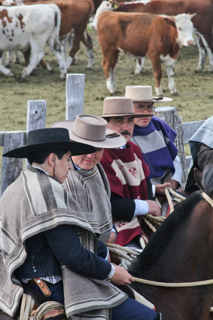 poncho