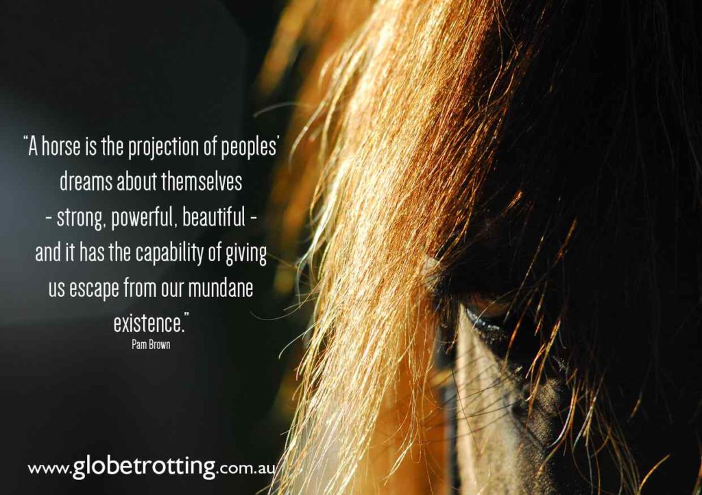 pam brown quote